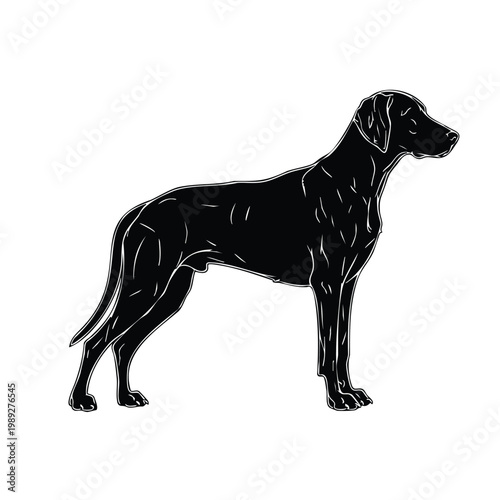Rhodesian ridgeback dog vector set bundle black silhouette illustration.