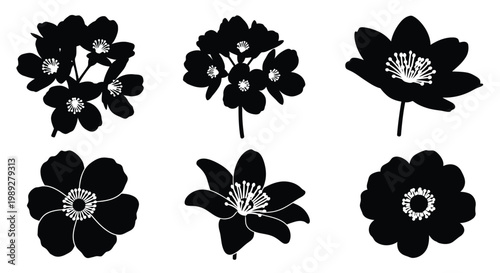 A detailed anatomical illustration depicts the human liver stomach intestines pancreas spleen and kidneys in a striking black silhouette high quality professional modern