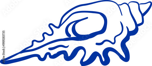Large seashell hand drawing in blue ink. Marine mollusk sketch.