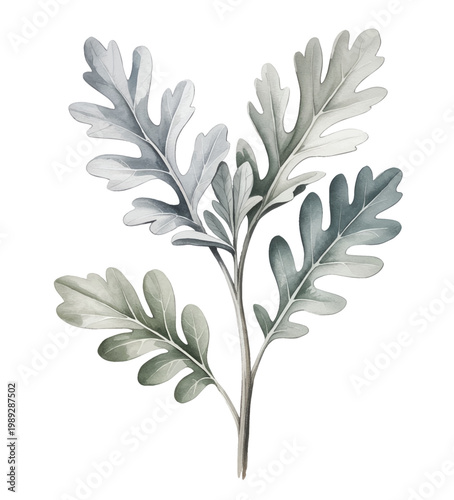 Tableau sur toile Soft silver foliage leaves with delicate texture in gentle watercolor