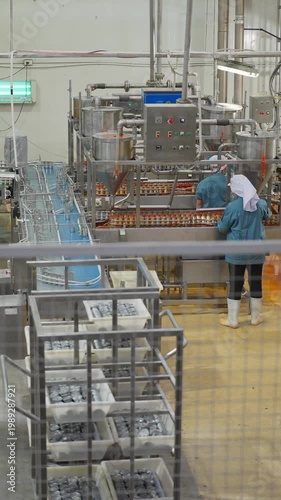 Automated Production: Workers attending an automated food production line, the image conveys efficiency and precision in a modern factory setting.