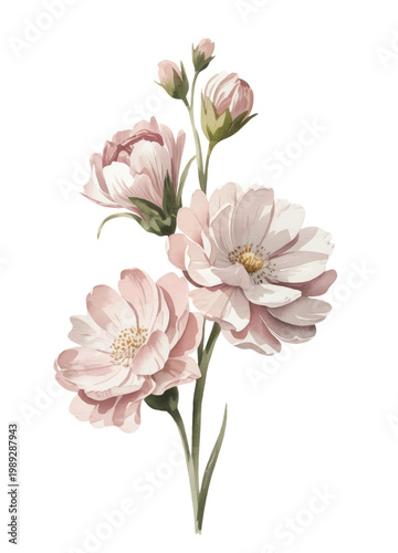 Delicate pale pink roses with natural stems in hand-painted watercolor.