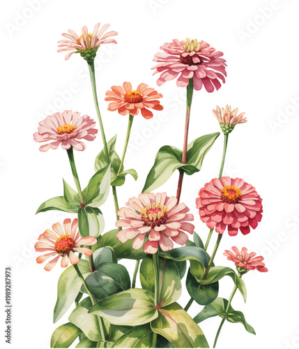 Airy blue cornflower stems with wild natural flow in soft watercolor.