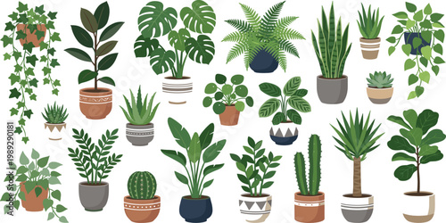 Large collection of indoor houseplants and succulents in decorative ceramic pots including monstera fiddle leaf fig and snake plant for home decor.