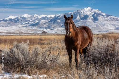 Majestic Brown Horse Stands Proudly in Snowy Mountain Landscape.