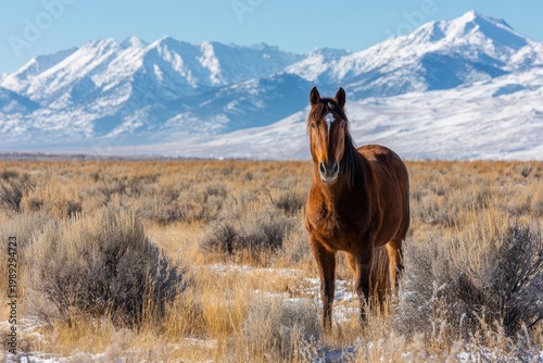 Majestic Wild Horse Stands Proudly in Snowy Mountain Landscape.