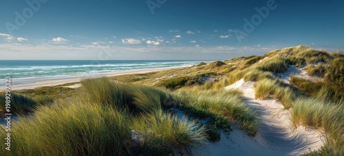 A serene coastal landscape showcases rolling sand dunes covered in lush green vegetation, leading to a vast ocean under a bright blue sky with scattered clouds.