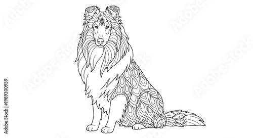 Shetland Sheepdog, Collie Dog Illustration, Line Art Vector, Black and White Coloring Page