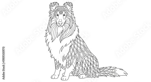 Shetland Sheepdog, Collie, Dog Illustration, Vector Pet Portrait