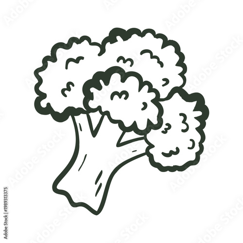 Hand drawn broccoli doodle icon in outline style. Fresh green vegetable isolated on white for healthy food design.