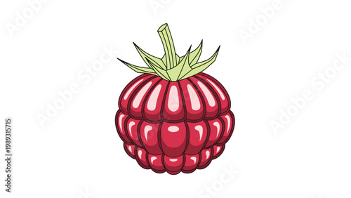 Single ripe raspberry fruit with a small green stem and detailed segments showing vibrant red color on a white background.