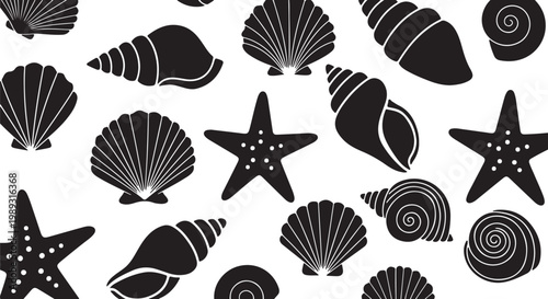Handdrawn Shells illustrations, shells drawing, sea elements, ocean, sea, water, collection, set
