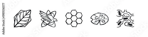 Outline icons for nature and insect themes: leaf, bird, honeycomb, flower, ants