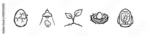 Doodle icons depicting the life cycle of a chick