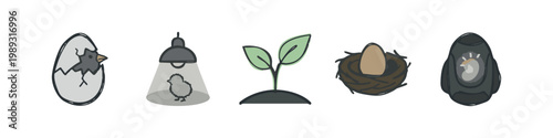 Color doodle icons showing the life cycle of a chick