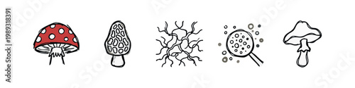 Mushroom Icons: Amanita, Morel, Mycelium, Spores, Simple Mushroom