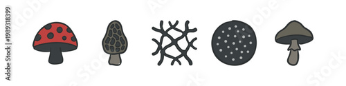 Mushroom Icons: Hand-drawn Style - Amanita, Morel, Mycelium, Spores, Simple Mushroom
