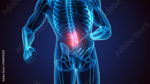 X-ray 3d Render of a Male Human suffering from back or spine pain