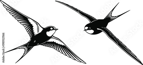 Swallow bird flying silhouette tattoo style animal outline