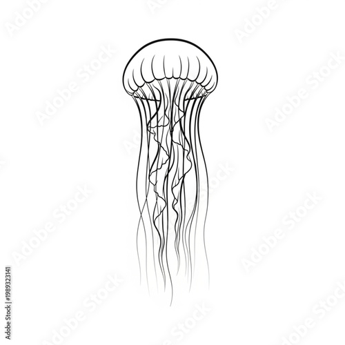 Simple Black and White Jellyfish Illustration.