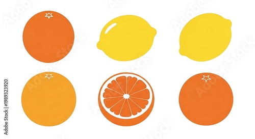 Citrus fruits on white background.