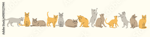 Cute illustration of adorable cats sitting in a row. Cute vector illustration. Draw banner cutes cat on white for greeting card. 
