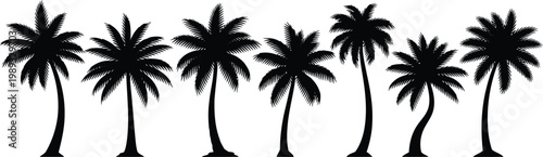 Silhouette of six palm trees standing in a row against a plain background. Vector