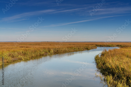 idyllic salt marsh landscape in the South Carolina Lowcountry near Beaufort