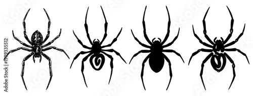 Black widow spiders in different poses vector graphic illustration