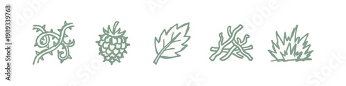 Nature and Botanical Doodle Icons: Bramble, Raspberry, Leaf, Twigs, Grass