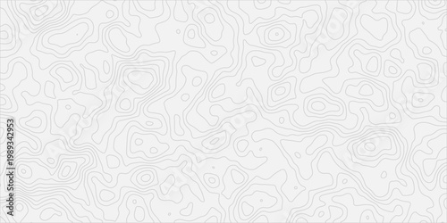 Detailed Mountain Relief Contour Map Design with Soft Flowing Line Structure
Minimal Abstract Landscape Background with Clean Topographic Elevation Style