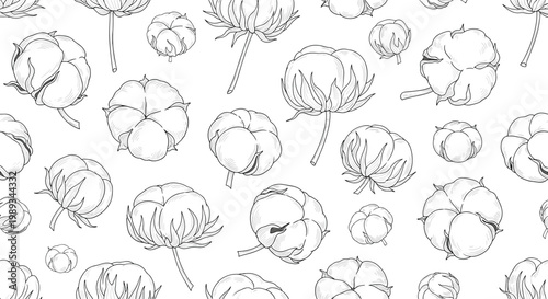 Seamless pattern of hand drawn cotton bolls and stems on a white background, delicate line art vector for organic textile and floral design.