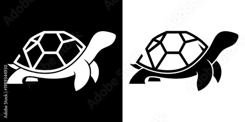 Turtles with soccer ball shell swim side by side in black and white
