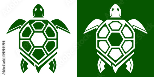 Turtles are depicted in white and green illustrations side by side.