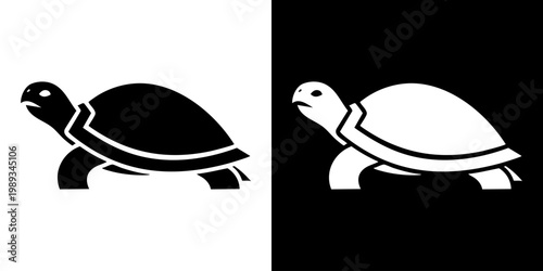 Turtles walk side by side in contrasting black and white.