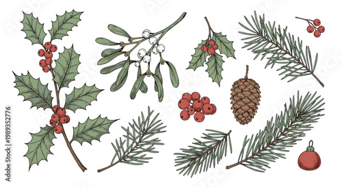 Vibrant winter botanical set featuring holly with red berries, mistletoe with white berries, pine branches, and a pine cone.