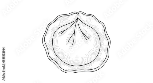 Hand drawn engraving style illustration of a single traditional dumpling with pleated dough and a rounded shape.