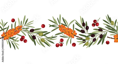 Horizontal border composed of sea buckthorn branches, olive sprigs and clusters of bright red forest berries.