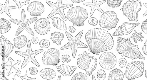 Intricate seamless pattern of different types of seashells and starfish drawn in a fine black line art style.