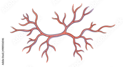 Abstract illustration of a branching red vein or root structure.