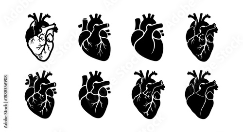 Anatomical human heart icons set, black and white medical organ illustrations, 8 vector heart silhouettes for cardiology and healthcare design