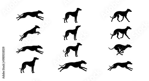 Greyhound dog silhouette collection, set of 12 racing sighthound vector icons, running and standing whippet dog poses, black animal shapes on white
