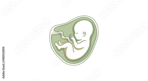 Minimalist Line Art Illustration of a Human Fetus in Utero.
