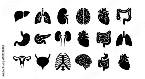 Human internal organs icon set, black silhouette medical anatomy symbols, 18 vector elements for healthcare infographics and education