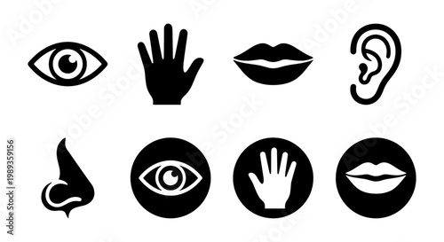 Human senses icon set, black five senses symbols for sight touch taste smell hearing, medical anatomy vector illustrations for education