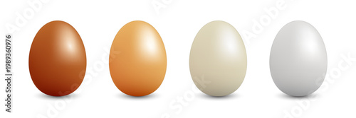 Realistic eggs icon set collection in flat style. Protein breakfast vector illustration on isolated background. Chicken eggs sign business concept.