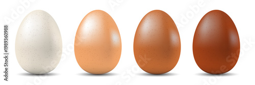 Realistic eggs icon set collection in flat style. Protein breakfast vector illustration on isolated background. Chicken eggs sign business concept.