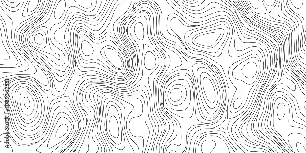 Fototapeta premium Vector abstract topographic contour background with wavy lines and shapes in black on white