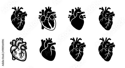 Anatomical human heart icon set, 8 black and white medical vector illustrations, realistic organ silhouettes for cardiology and healthcare design
