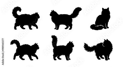 Black cat silhouettes set, long hair fluffy cat vector collection, 6 feline animal shapes in various poses, domestic pet icons for graphic design